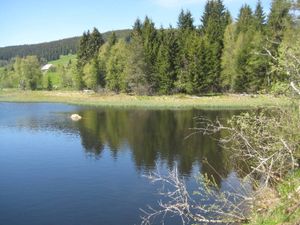 Ferienwohnung für 4 Personen (58 m²) in Schluchsee