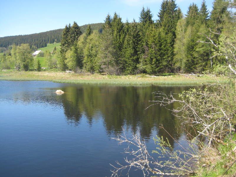 19436891-Ferienwohnung-4-Schluchsee-800x600-0