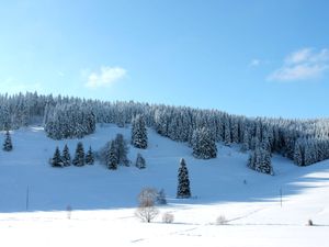 19052136-Ferienwohnung-4-Schluchsee-300x225-3