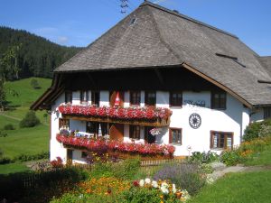 19052136-Ferienwohnung-4-Schluchsee-300x225-4