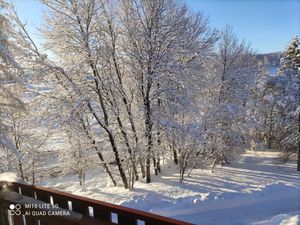 23020539-Ferienwohnung-3-Schluchsee-300x225-2