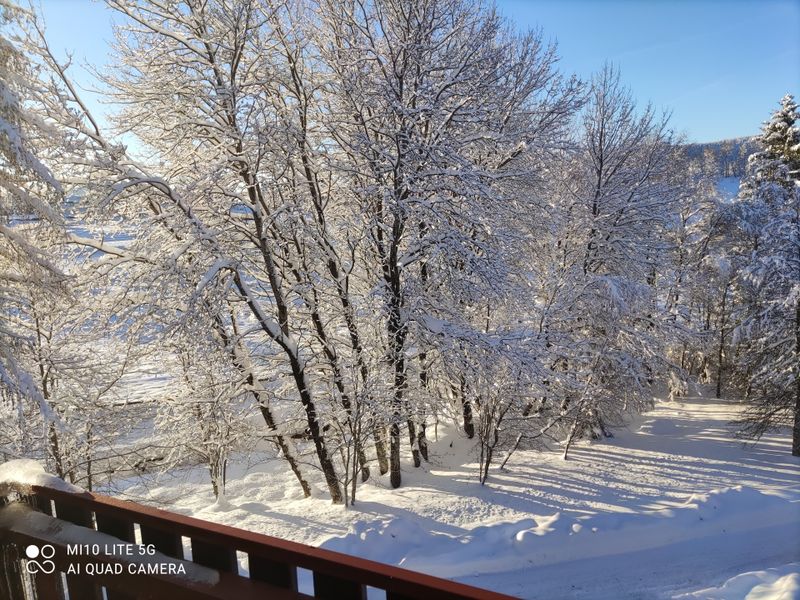 23020539-Ferienwohnung-3-Schluchsee-800x600-2