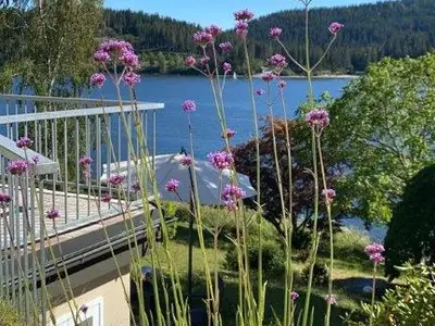 Ferienwohnung für 2 Personen (75 m²) in Schluchsee 2/10