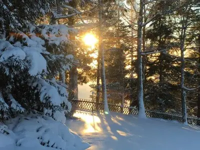 Ferienwohnung für 2 Personen (75 m²) in Schluchsee 8/10