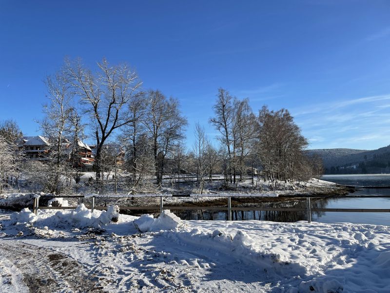 23855039-Ferienwohnung-2-Schluchsee-800x600-1