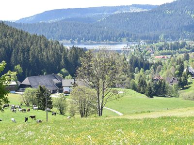 Blick vom Fischbachtal