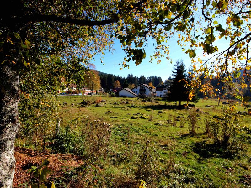 19054523-Ferienwohnung-4-Schluchsee-800x600-2