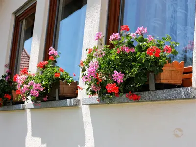 Blumendeko