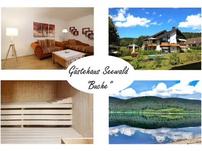 Ferienwohnung für 3 Personen (50 m²) in Schluchsee 1/10