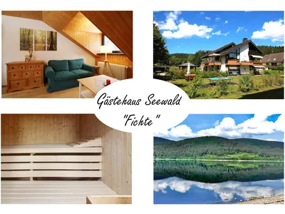 Ferienwohnung für 2 Personen (35 m²) in Schluchsee 1/10