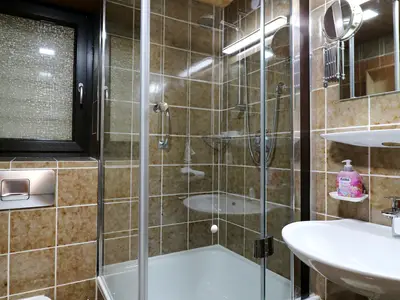 Ferienwohnung für 4 Personen (43 m²) in Schluchsee 10/10