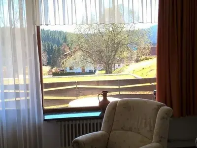 Ferienwohnung für 3 Personen (53 m²) in Schluchsee 6/10