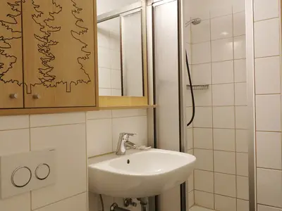 Ferienwohnung für 4 Personen (48 m²) in Schluchsee 8/10