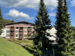 Ferienwohnung für 4 Personen (45 m²) in Schluchsee