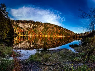 Ferienwohnung für 6 Personen (58 m²) in Schluchsee 3/10