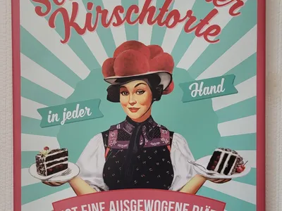 Ferienwohnung für 4 Personen (43 m²) in Schluchsee 9/10