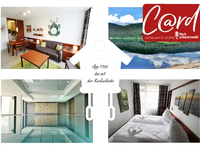 Ferienwohnung für 4 Personen (42 m²) in Schluchsee 1/10