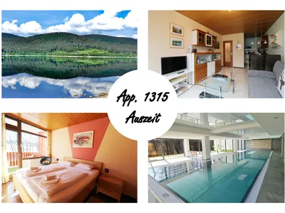 Ferienwohnung für 4 Personen (43 m²) in Schluchsee 1/10