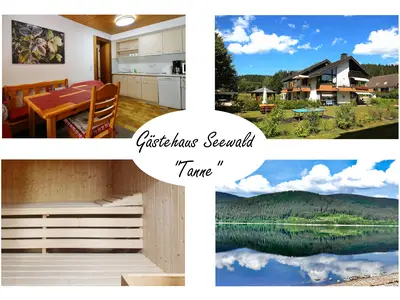 Ferienwohnung für 4 Personen (43 m²) in Schluchsee 1/10