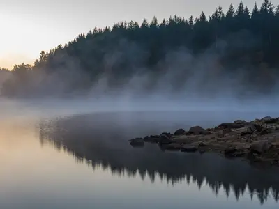 Ferienwohnung für 4 Personen (43 m²) in Schluchsee 3/10