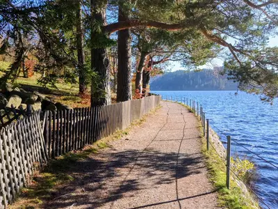 Ferienwohnung für 4 Personen (105 m²) in Schluchsee 3/10