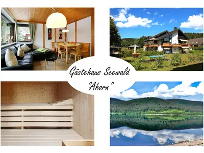 Ferienwohnung für 4 Personen (75 m²) in Schluchsee 1/10