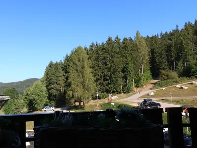 Ferienwohnung für 2 Personen (22 m²) in Schluchsee 10/10