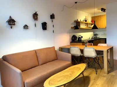 Ferienwohnung für 4 Personen (43 m²) in Schluchsee 2/10