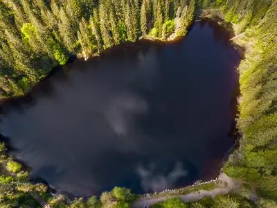 Ferienwohnung für 4 Personen (43 m²) in Schluchsee 2/10