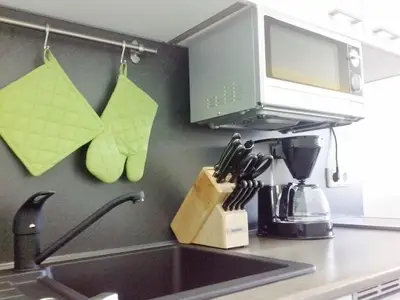 Ferienwohnung für 4 Personen (43 m²) in Schluchsee 10/10