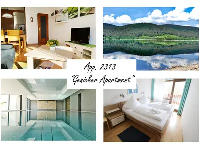 Ferienwohnung für 3 Personen (42 m²) in Schluchsee 1/10