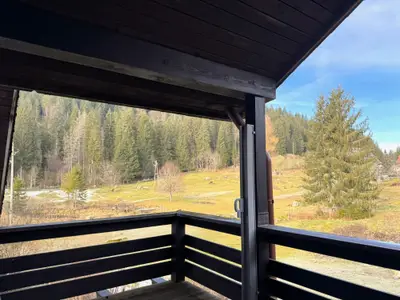 Ferienwohnung für 2 Personen (35 m²) in Schluchsee 8/10