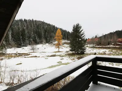 Ferienwohnung für 2 Personen (35 m²) in Schluchsee 9/10