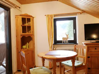 Ferienwohnung für 2 Personen (30 m²) in Schluchsee 5/10