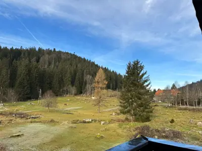 Ferienwohnung für 2 Personen (30 m²) in Schluchsee 10/10