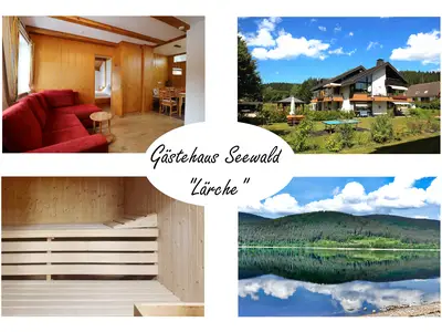 Ferienwohnung für 4 Personen (43 m²) in Schluchsee 1/10