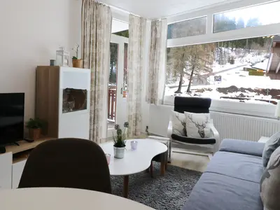Ferienwohnung für 4 Personen (43 m²) in Schluchsee 4/10