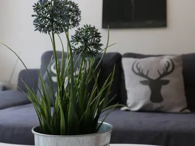 Ferienwohnung für 4 Personen (43 m²) in Schluchsee 5/10