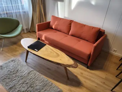 Ferienwohnung für 4 Personen (43 m²) in Schluchsee 6/10