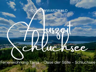 Ferienwohnung für 3 Personen (50 m²) in Schluchsee 2/10