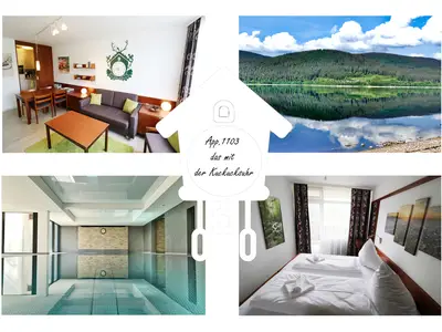 Ferienwohnung für 4 Personen (42 m²) in Schluchsee 1/10