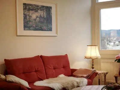 Ferienwohnung für 2 Personen (58 m²) in Schluchsee 5/10