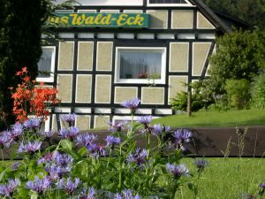Haus Wald-Eck - Rehsiepen Sauerland