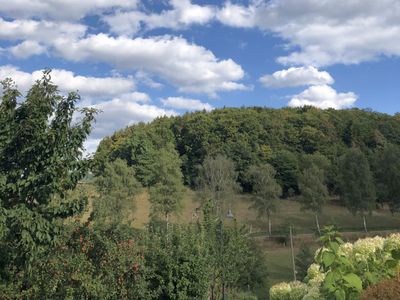 Ferienwohnungen Schauerte - Schmallenberg-Sellinghausen - Ausblick