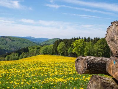 Ferienwohnung Zur Basemicke - Familie Schütte - Wandern rund um Nordenau