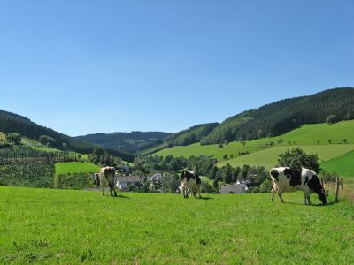 Ferienbauernhof Gördes, Oberhenneborn