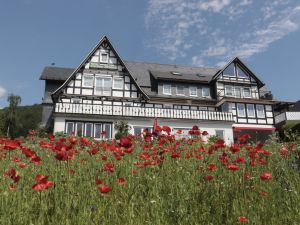 Ferienwohnung für 2 Personen (60 m²) in Schmallenberg