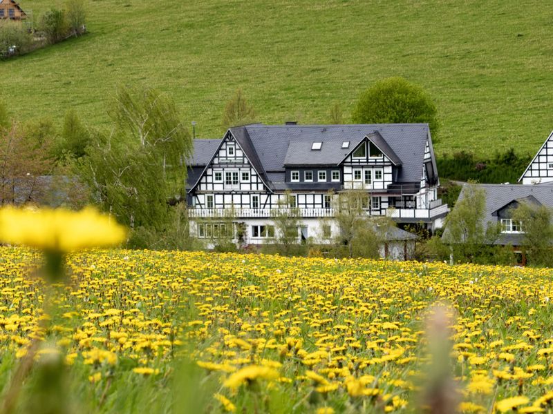 23159953-Ferienwohnung-2-Schmallenberg-800x600-1