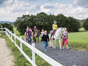 22180105-Ferienwohnung-6-Schmallenberg-300x225-3