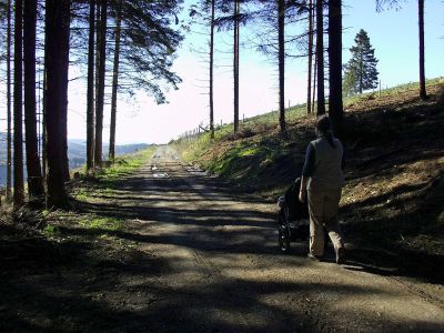 Golddorfroutenweg auf der Sommerseite bei Oberkirchen